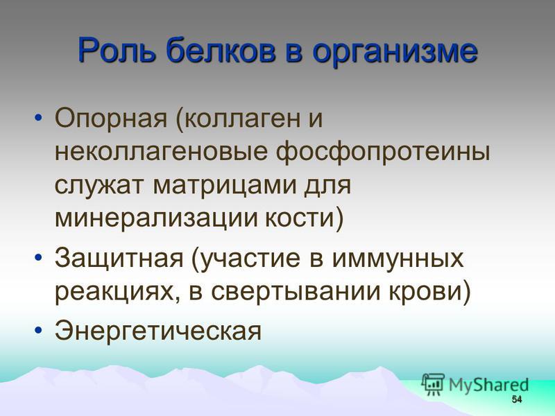 Белки играют роль. Роль белка в организме человека кратко. Роль бедоков в организме. Роль белков в организме человека кратко. Какова роль белков в организме человека?.