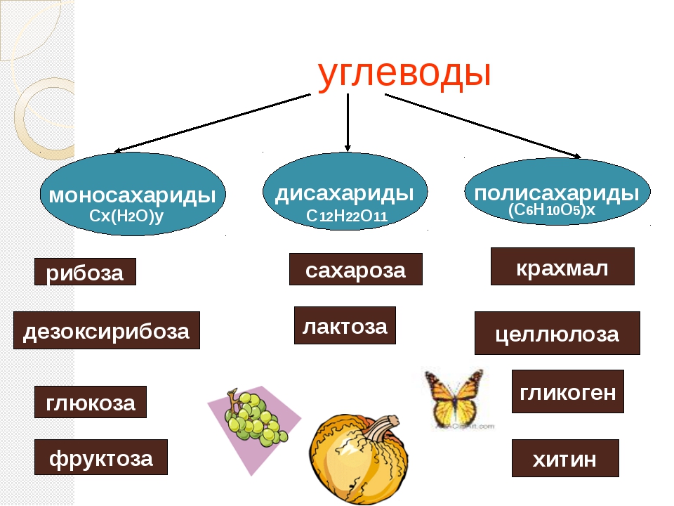 Углеводы дисахариды презентация