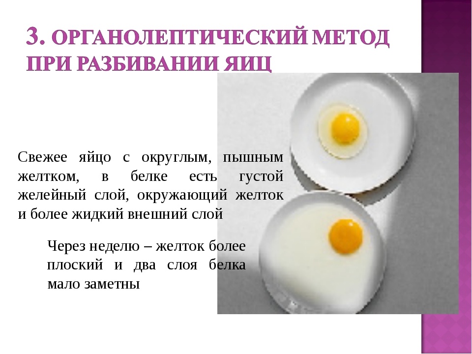 Какие функции выполняет яйцо. Приготовление блюд из яиц. Сообщение блюда из яиц. Ассортимент блюд из яиц. Блюда из яиц и яичных продуктов.