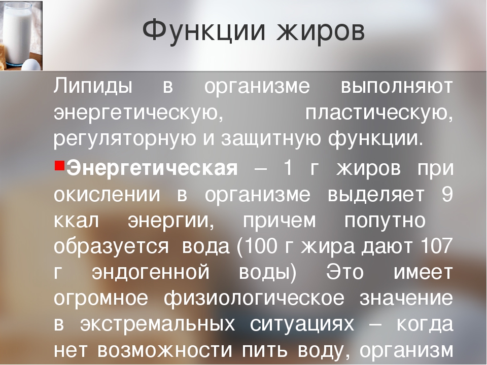 Форум жиров. Жиры и их функции в организме. Жиры в органике. Роль и функции жиров в организме человека. % Жира в организме.