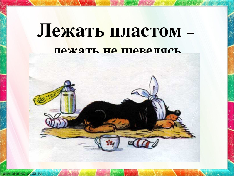 Мой щенок михалков план