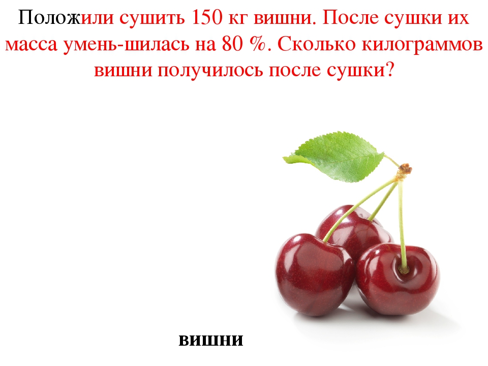 Кг вишня. Положили сушить 150 кг вишни. Положили сушить 150 кг вишни после сушки их. Положили сушить 150 кг вишни после сушки их масса уменьшилась на 80. Математика 6 класс положили сушить 150 кг вишни.