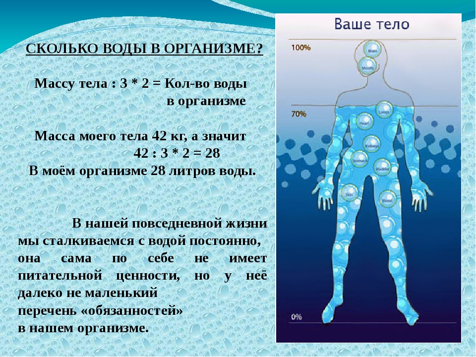 Пример любого организма. Вода в теле человека. Сколько иводя в организме человека. Сколько воды в теле человека. Сколько воды в человеке.