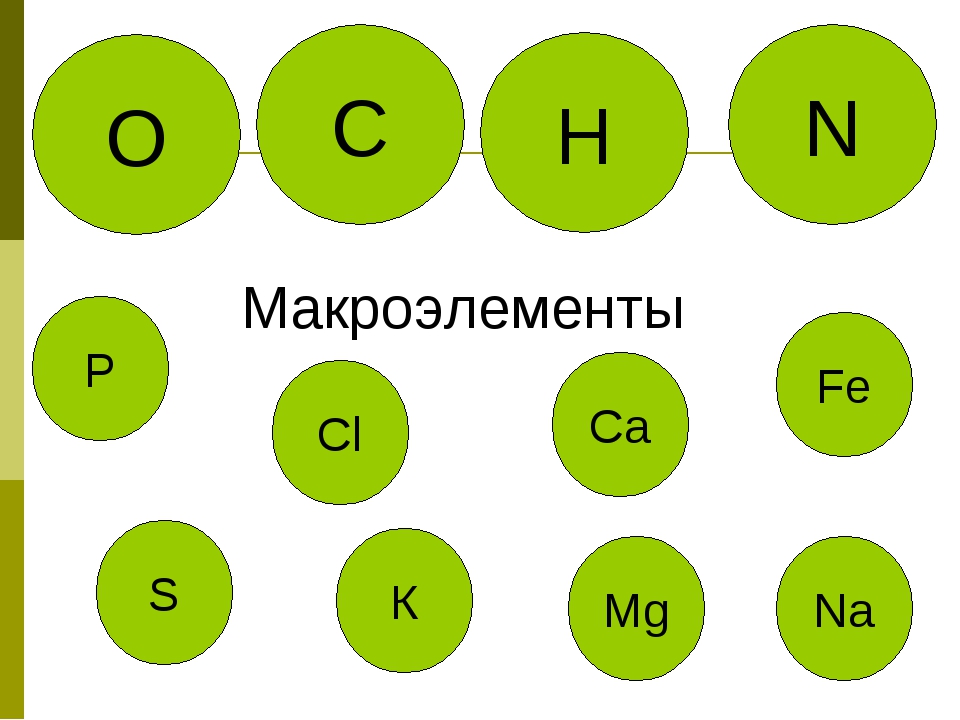 Презентация макро и микроэлементы в организме человека