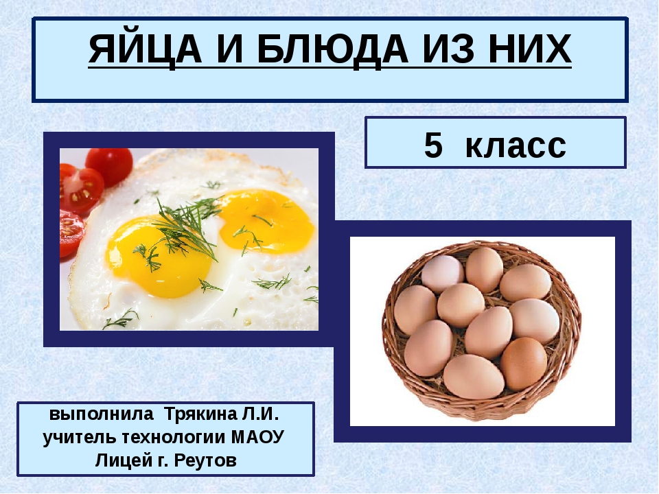 Готовые исследовательские работы младших школьников с презентацией про яйцо