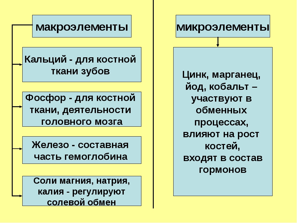 Презентация макро и микроэлементы в организме человека