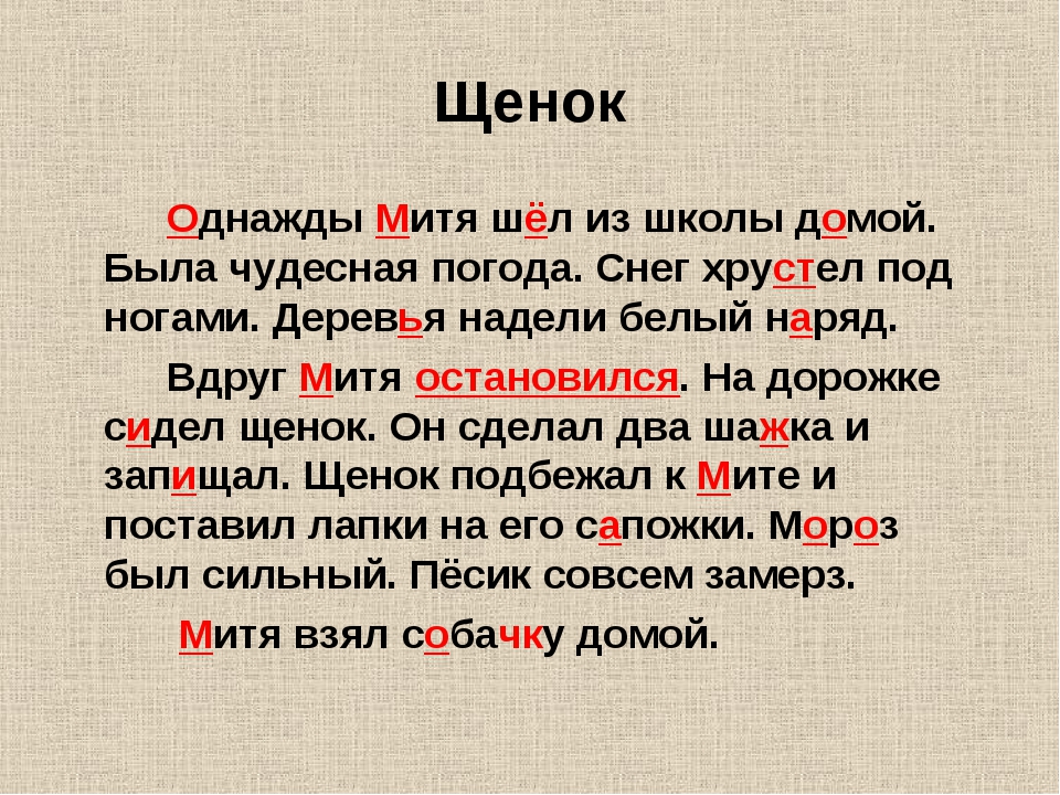 Текст однажды я заблудился. Изложение щенок. Изложение щенок 2 класс.