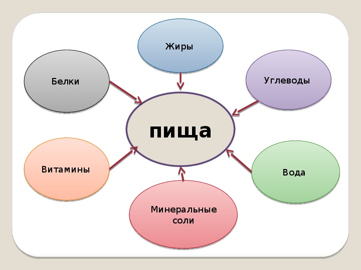 Рисунки белков жиров и углеводов