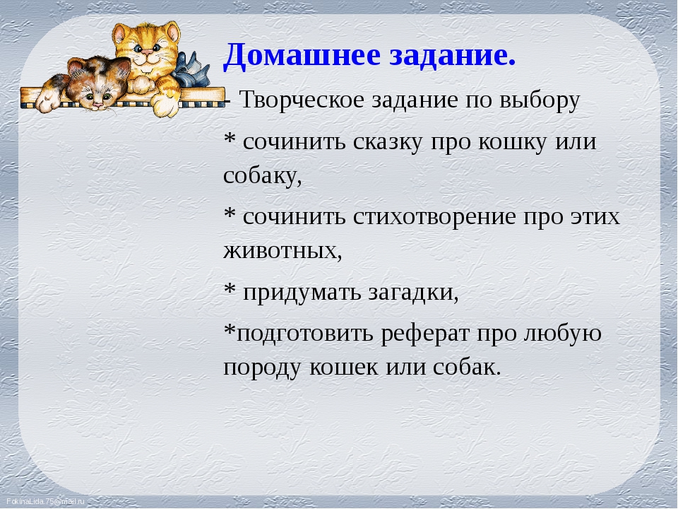 Планирование сказки. Придумать сказку про кошку. План рассказа о кошке. План сказки про кошку. План сказки о домашних животных.