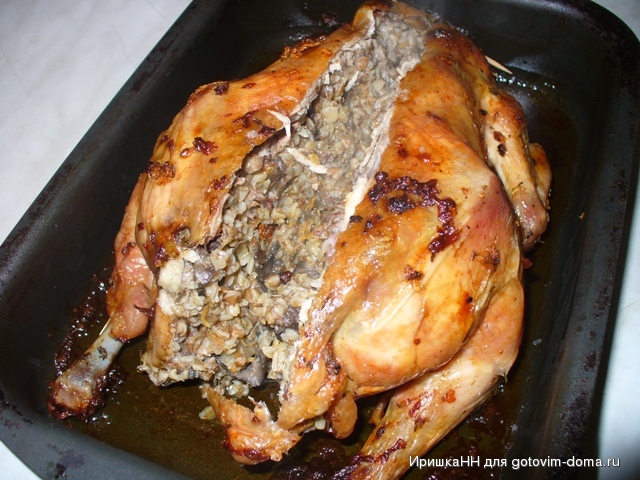 Курица с гречкой в духовке рецепт с фото пошагово в домашних условиях