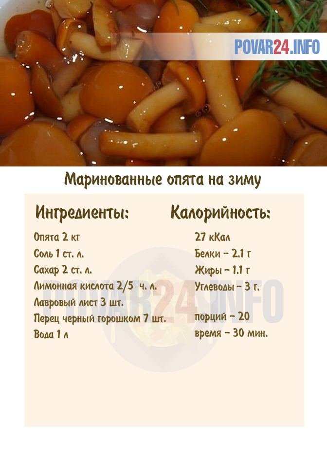 Рецепт вкусной маринованной рецептов. Маринад для грибов опят. Опята маринованные на зиму рецепты. Рецепт маринованных грибов на зиму. Грибы опята маринованные на зиму.