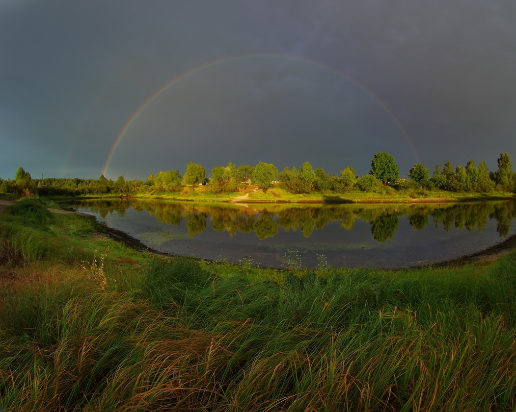 Белорусское полесье фото