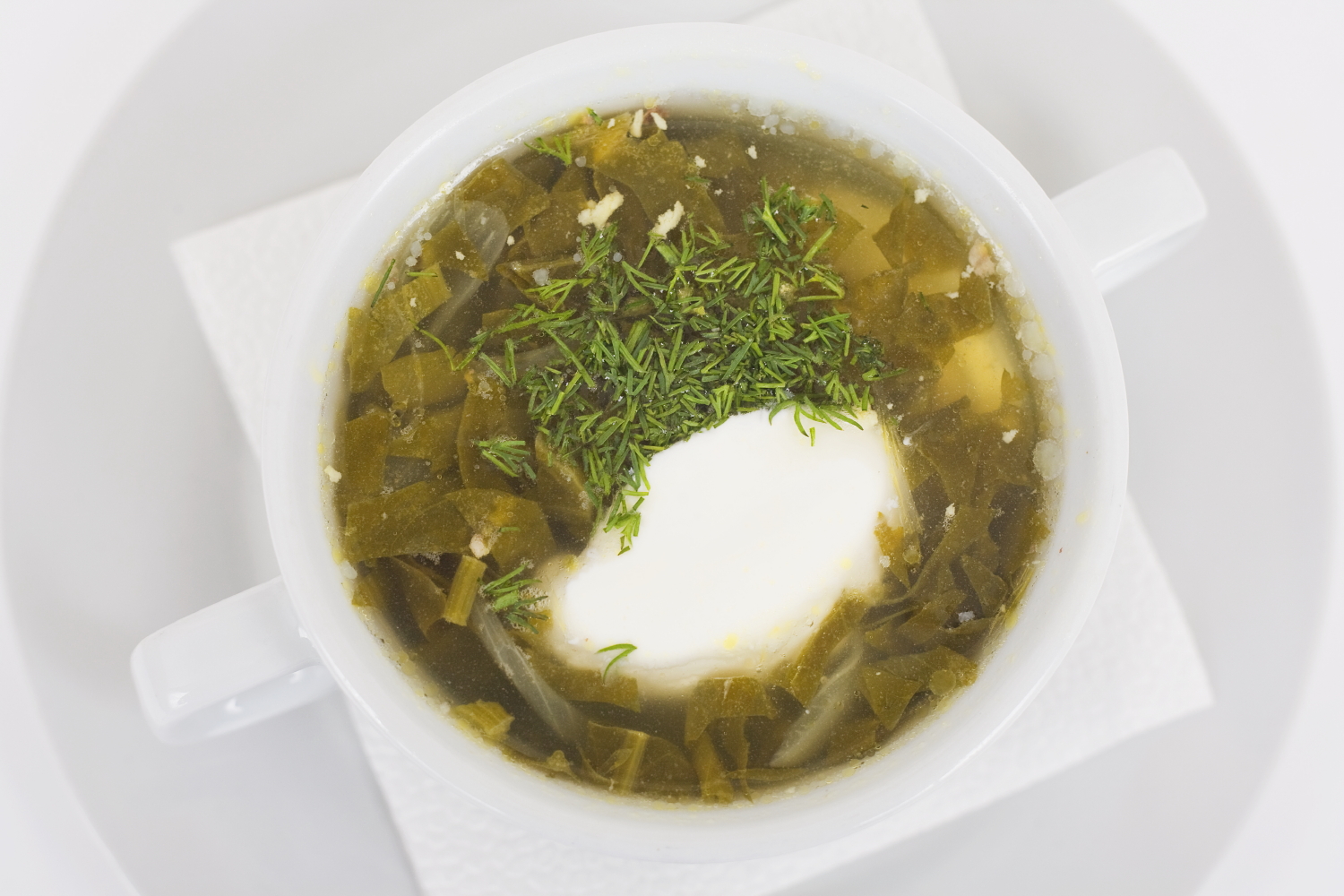 Суп из щавеля и крапивы с тушенкой и яйцом рецепт с фото