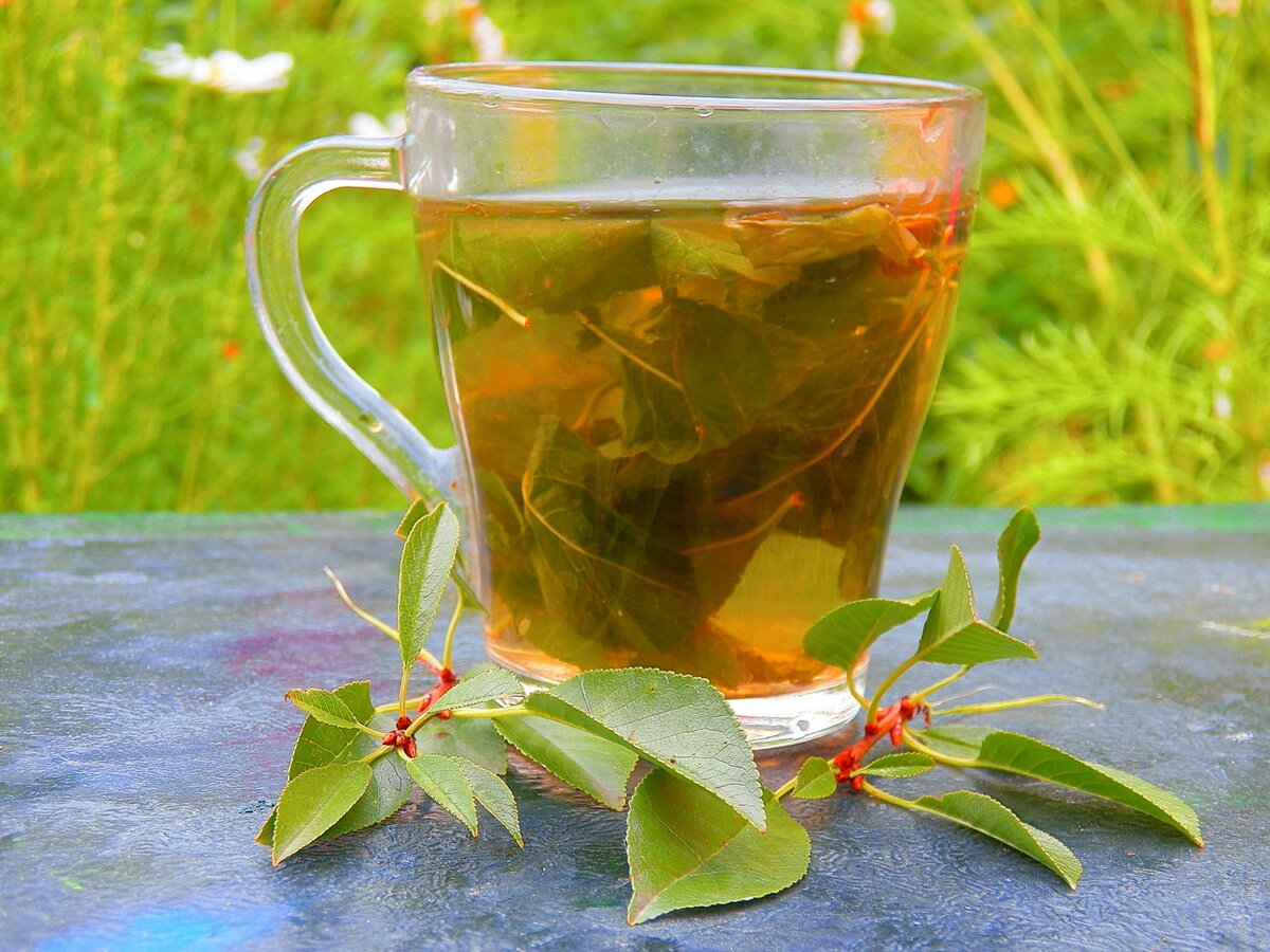 Как приготовить отвар для печени. Травяной чай. Травяной отвар. Чай с травами. Витаминный чай из трав.