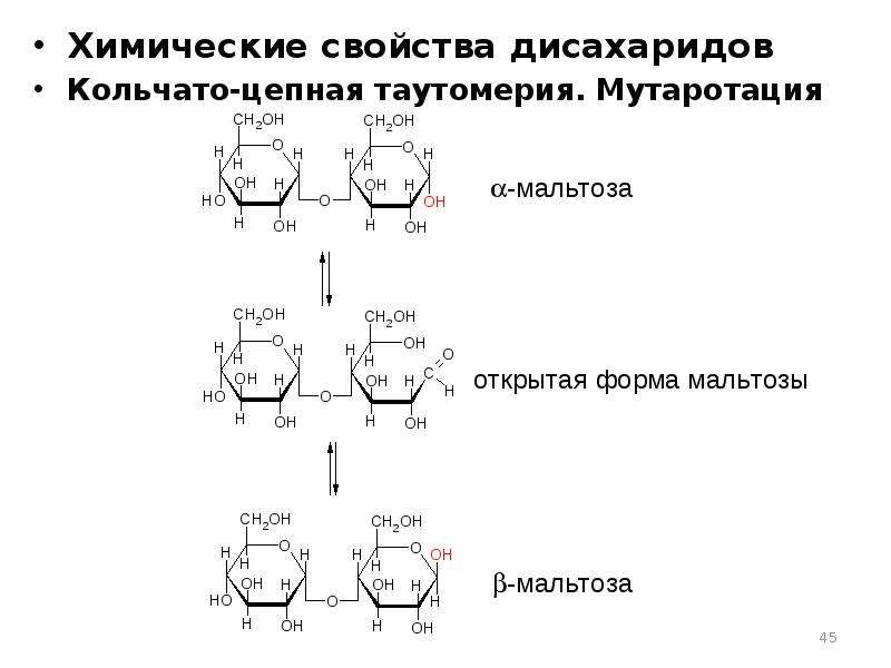 Схема образования дисахаридов