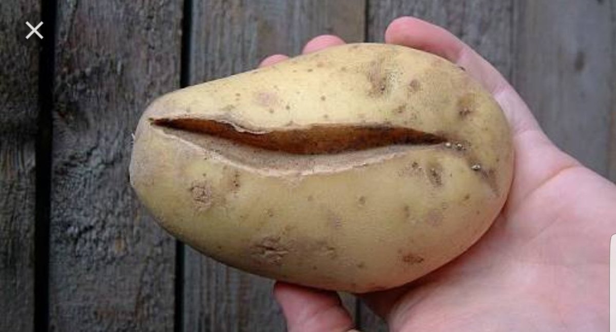Почему картошка мягкая