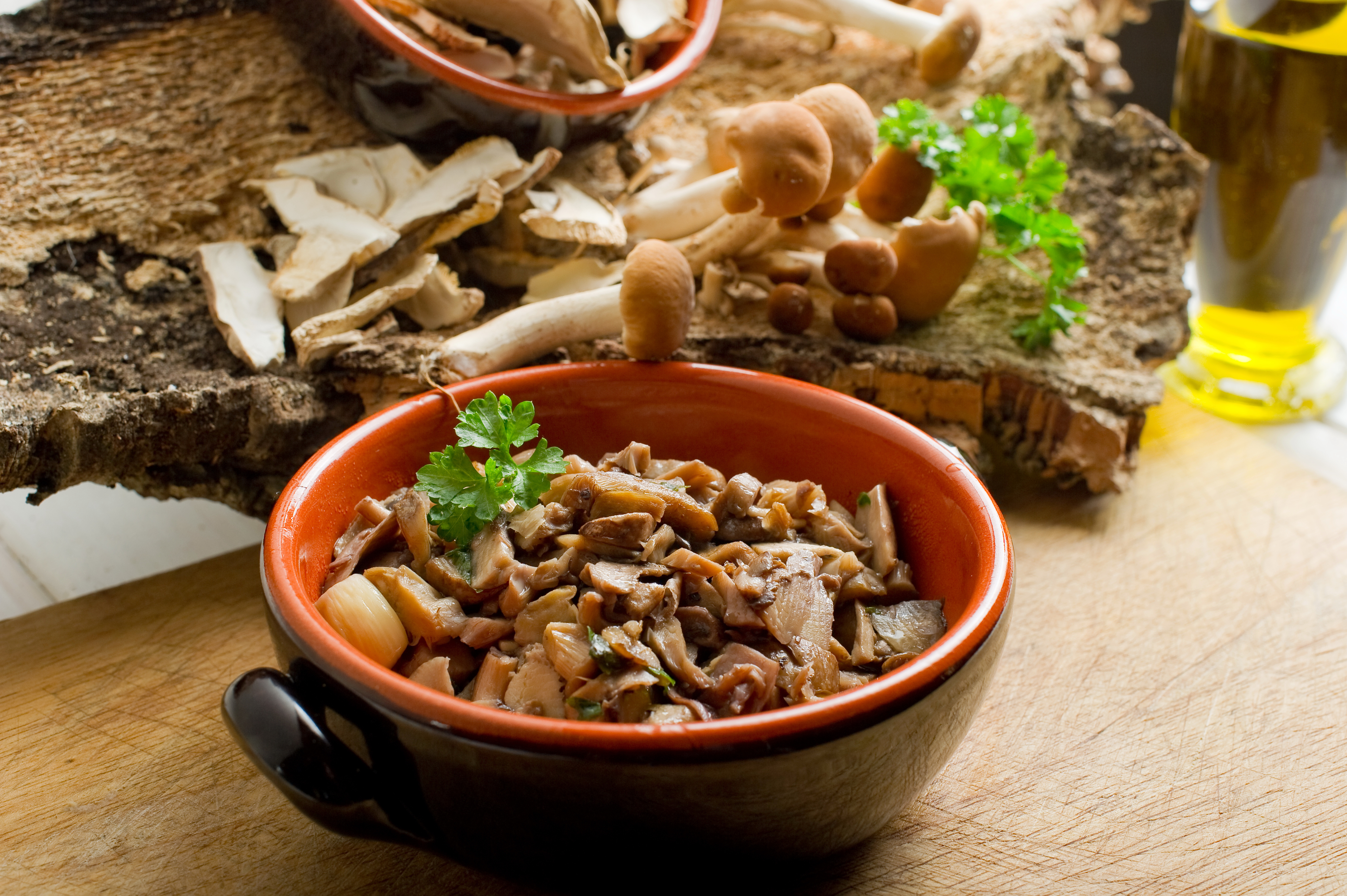 Блюда с грибами. Еда из грибов. Тушеные грибы. Блюда русской кухни с грибами.