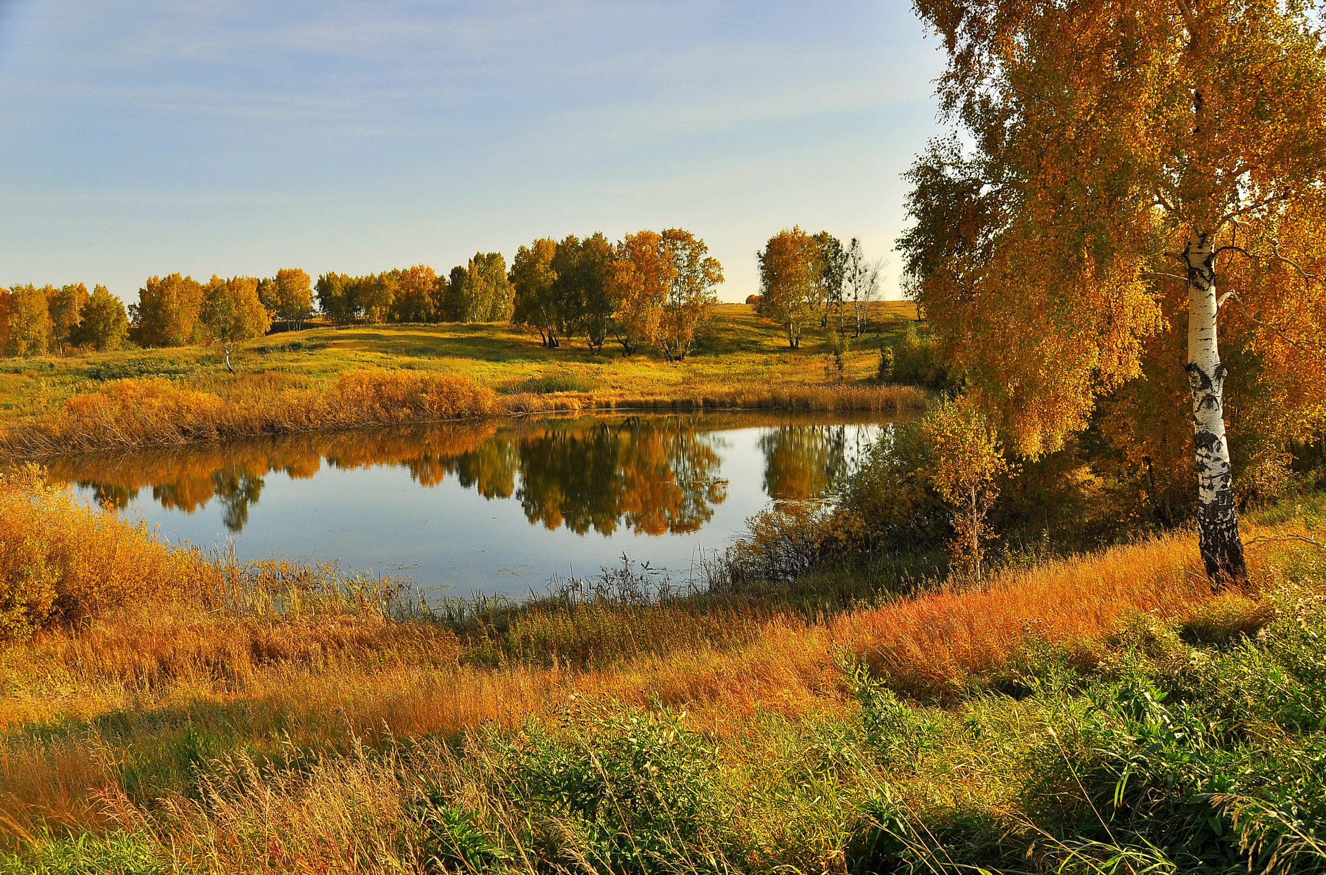 Река и Золотая осень в деревне