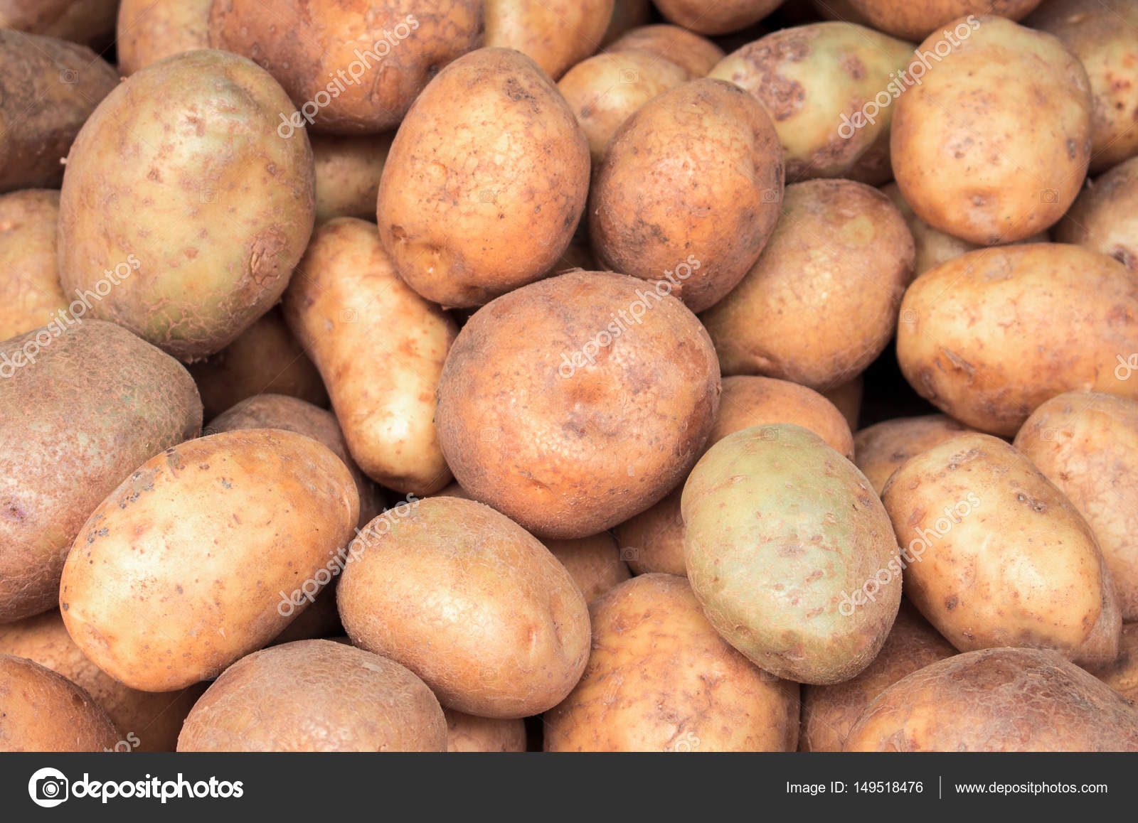 Сорт картофеля лазурит