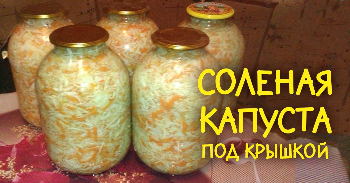 Капуста под крышку на зиму. Квашеная капуста под металлической крышкой. Квашеная капуста под железную крышку. Квашеная капуста в банке на зиму под железные крышки. Капуста квашеная под вакуумной крышкой.