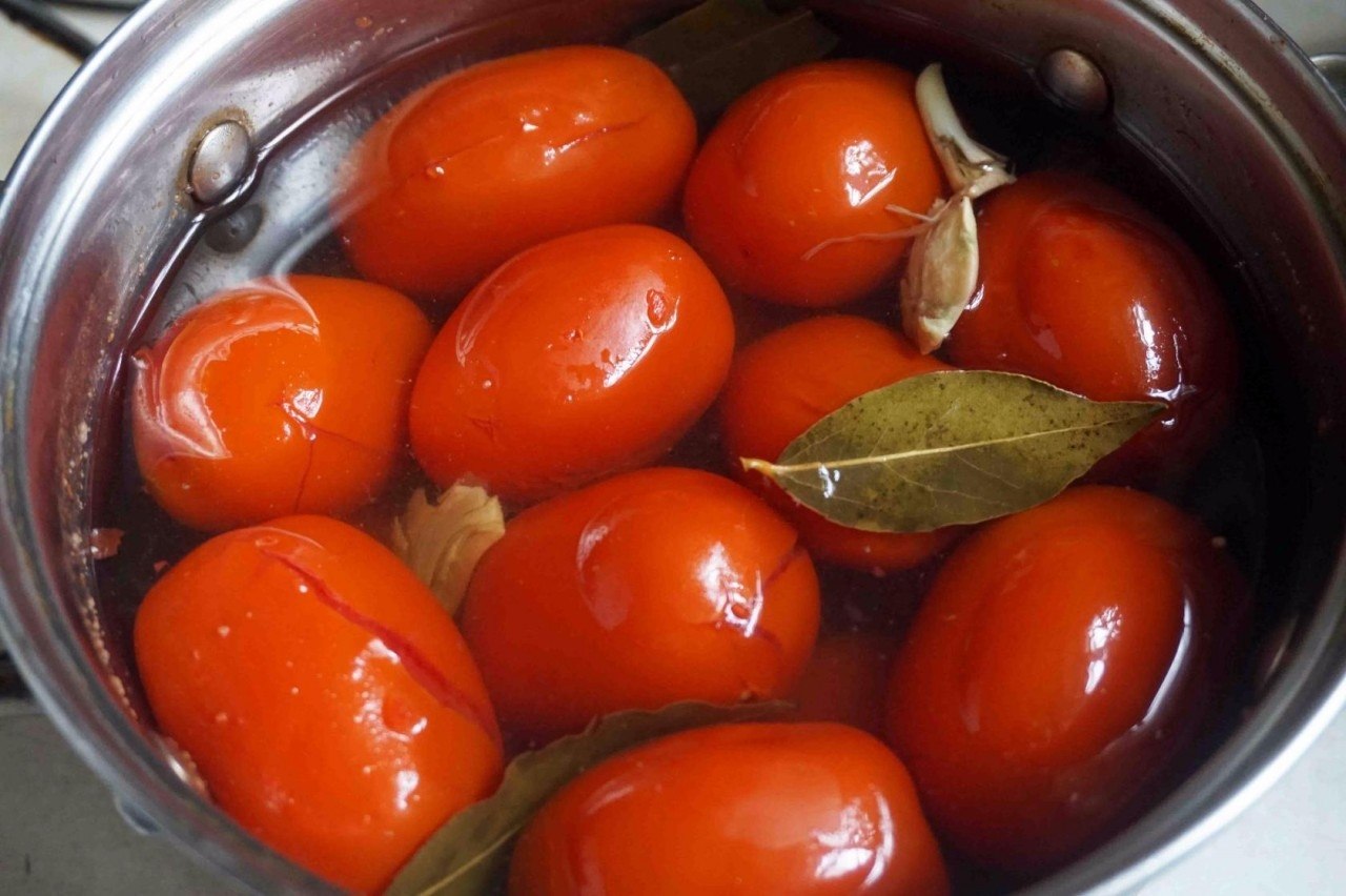 Маринуем томаты. Помидоры соленые. Маринованные помидоры быстрого приготовления. Малосольные помидоры в ведре. Маринованный помидор.