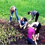 Школьники Архангельска помогают озеленить город
		