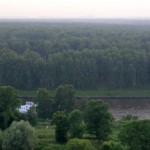 Химкинский лес под защитой экологов
		